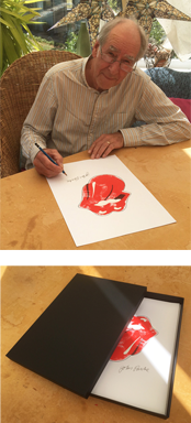 Rolling Stones logo artwork in presentation box